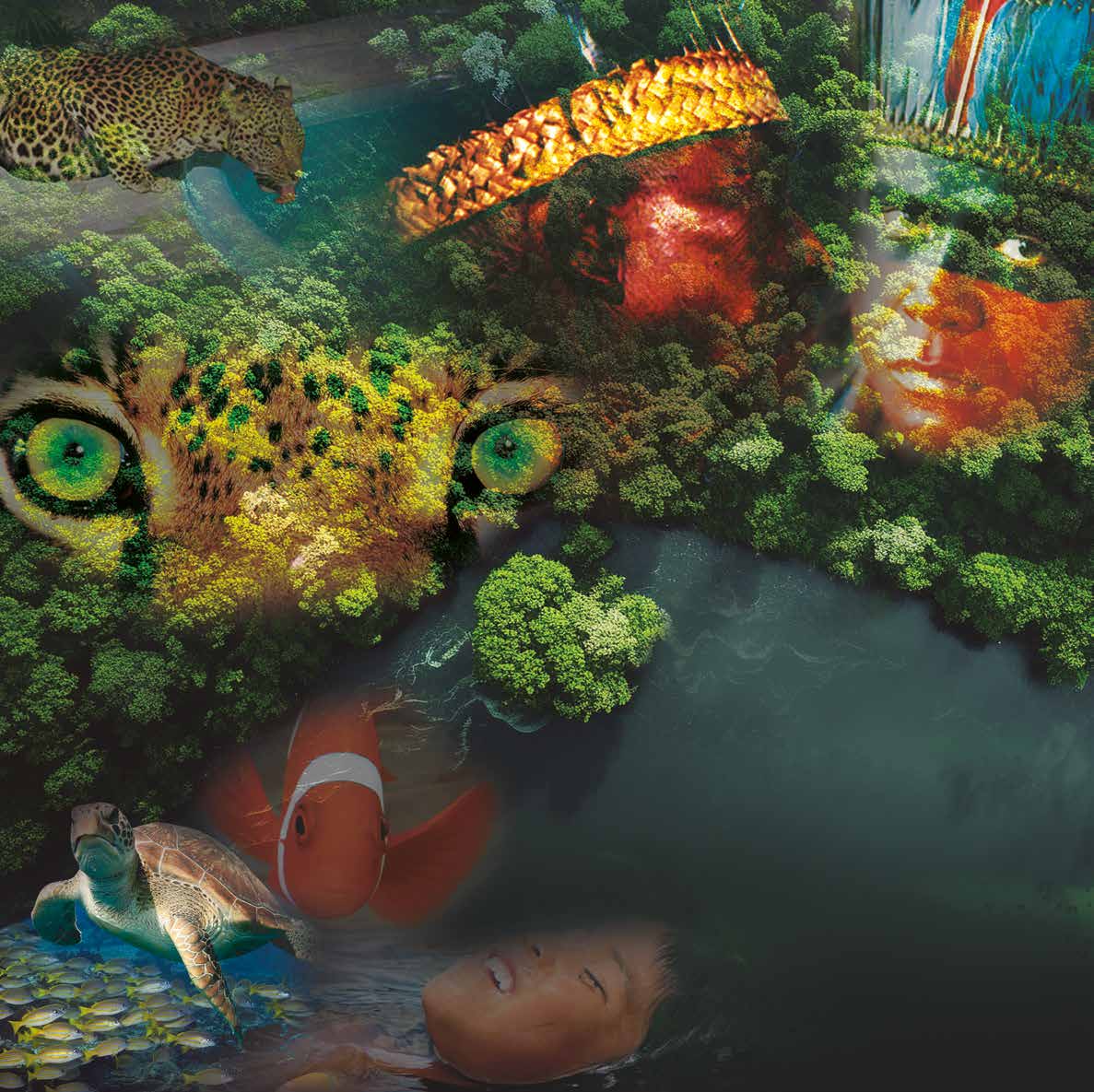 Arte inspirada na natureza brasileira